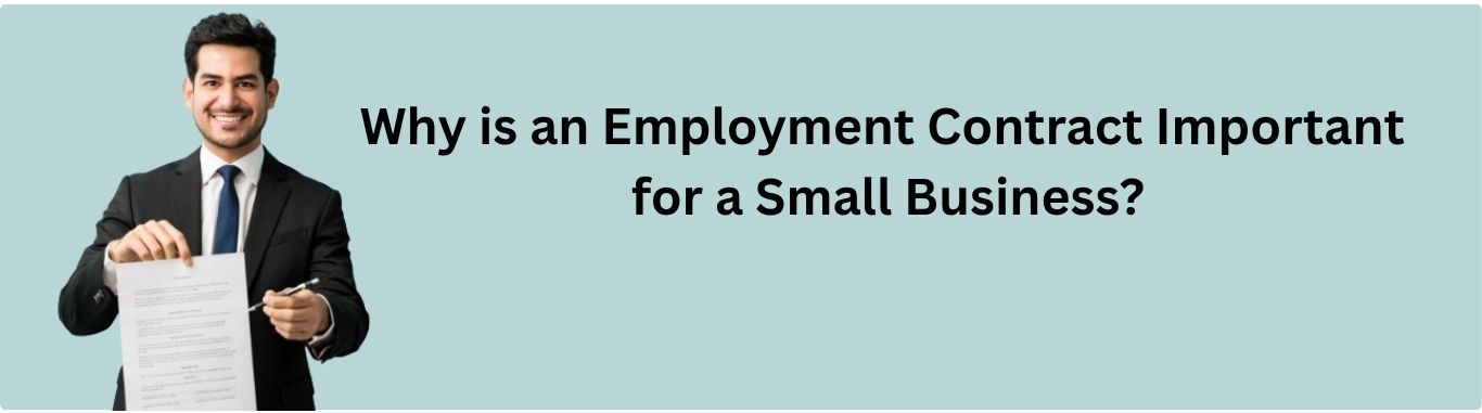 Professional showing an employment contract for a small business